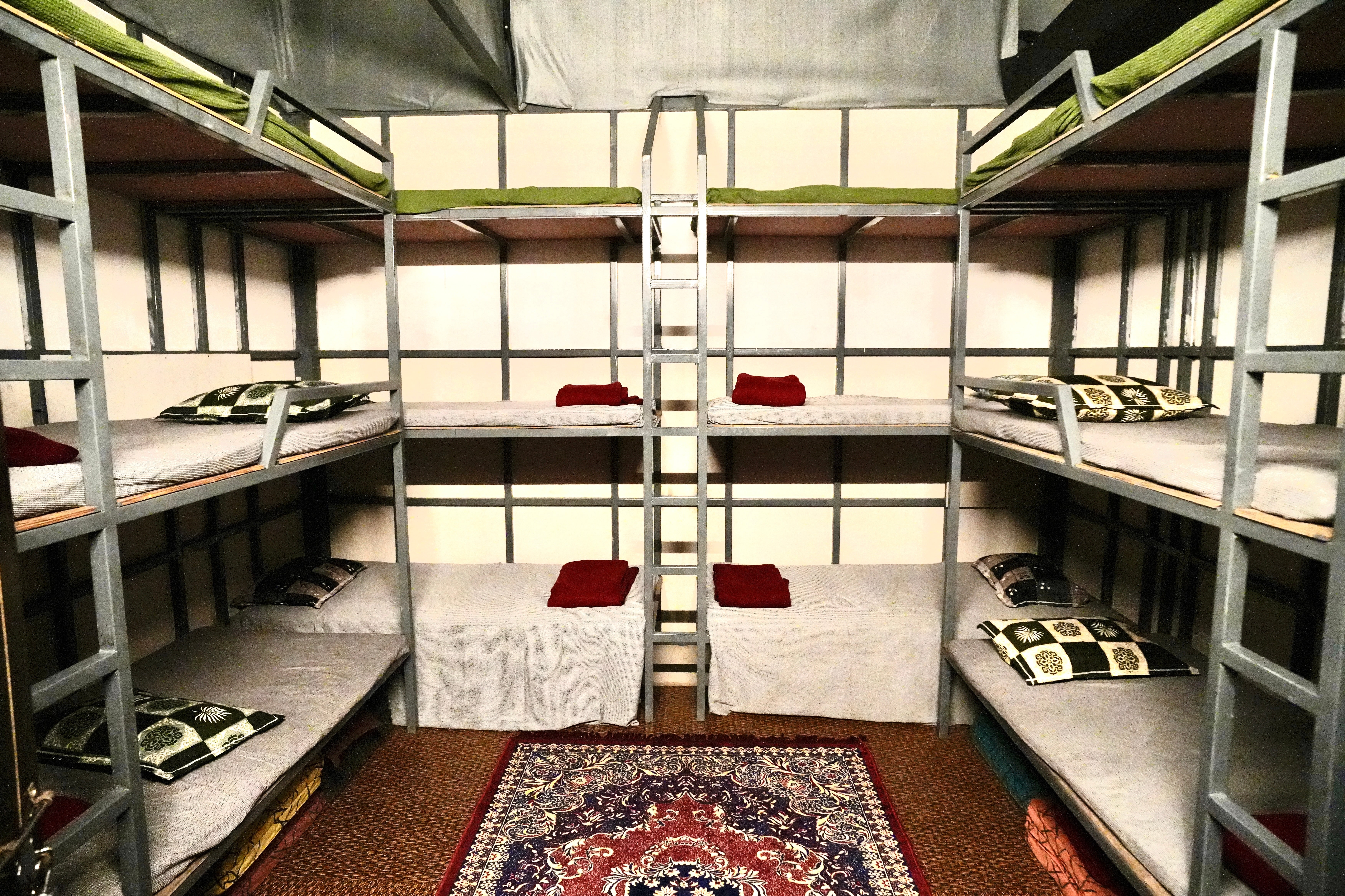 Forest group stay setting